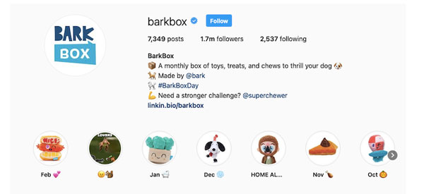 Instagram Bio